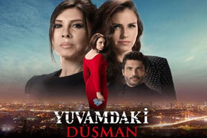 THE ENEMY IN MY HOME (TV SERIES)